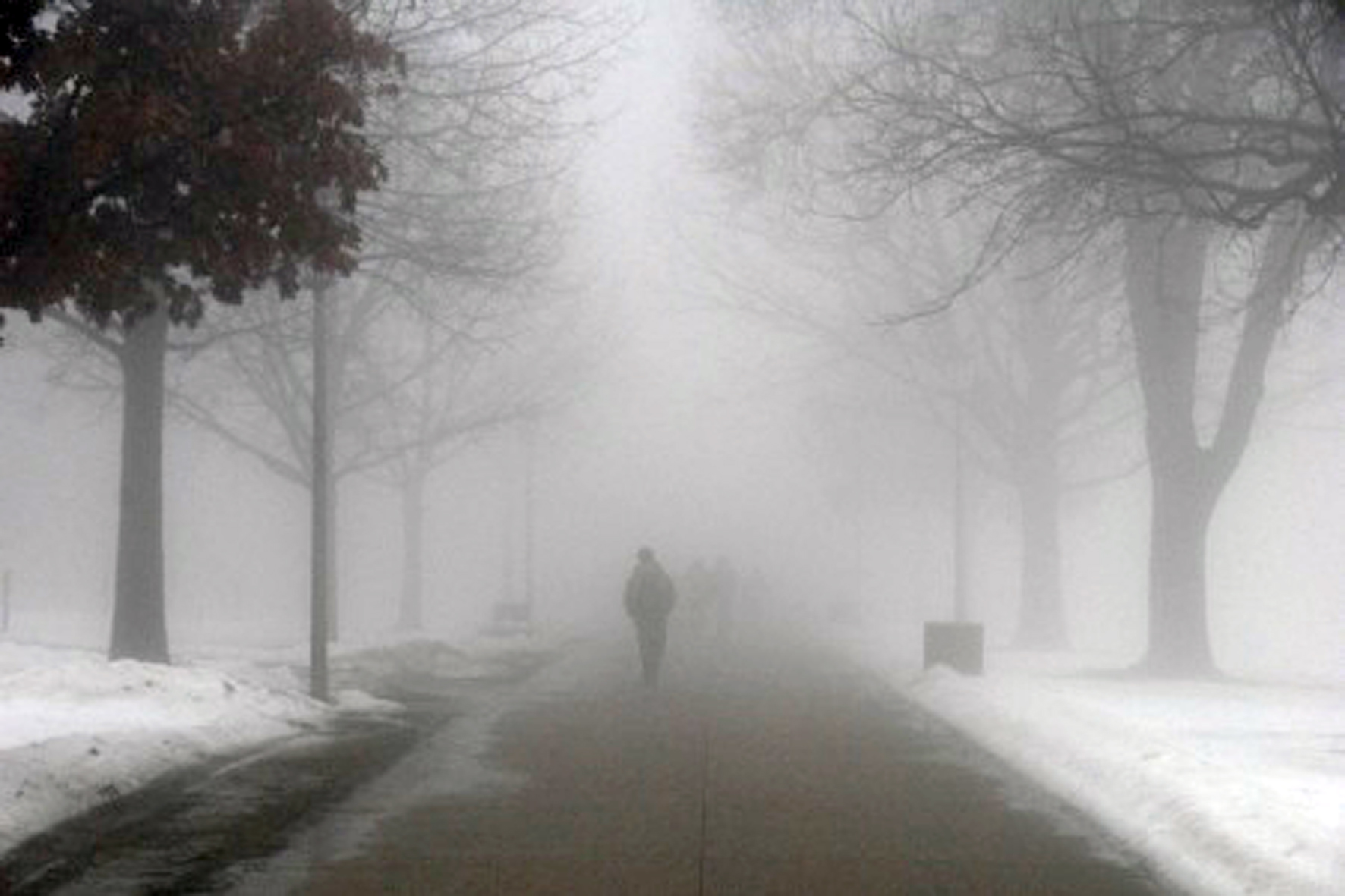 Как там живется сквозь жизни туман песня. Сильный туман. Улица в тумане. Серый день. Туман фото.
